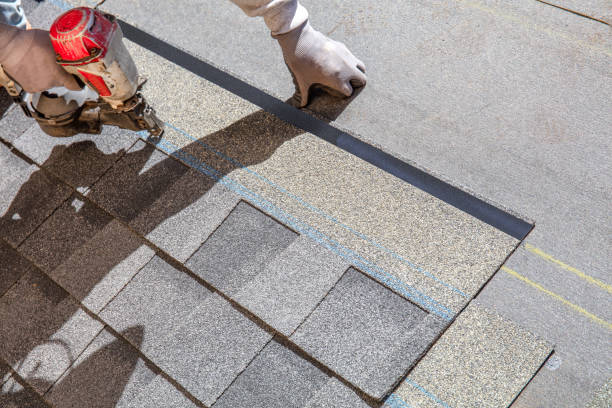 Professional Roofing Contractor in Pueblo, CO